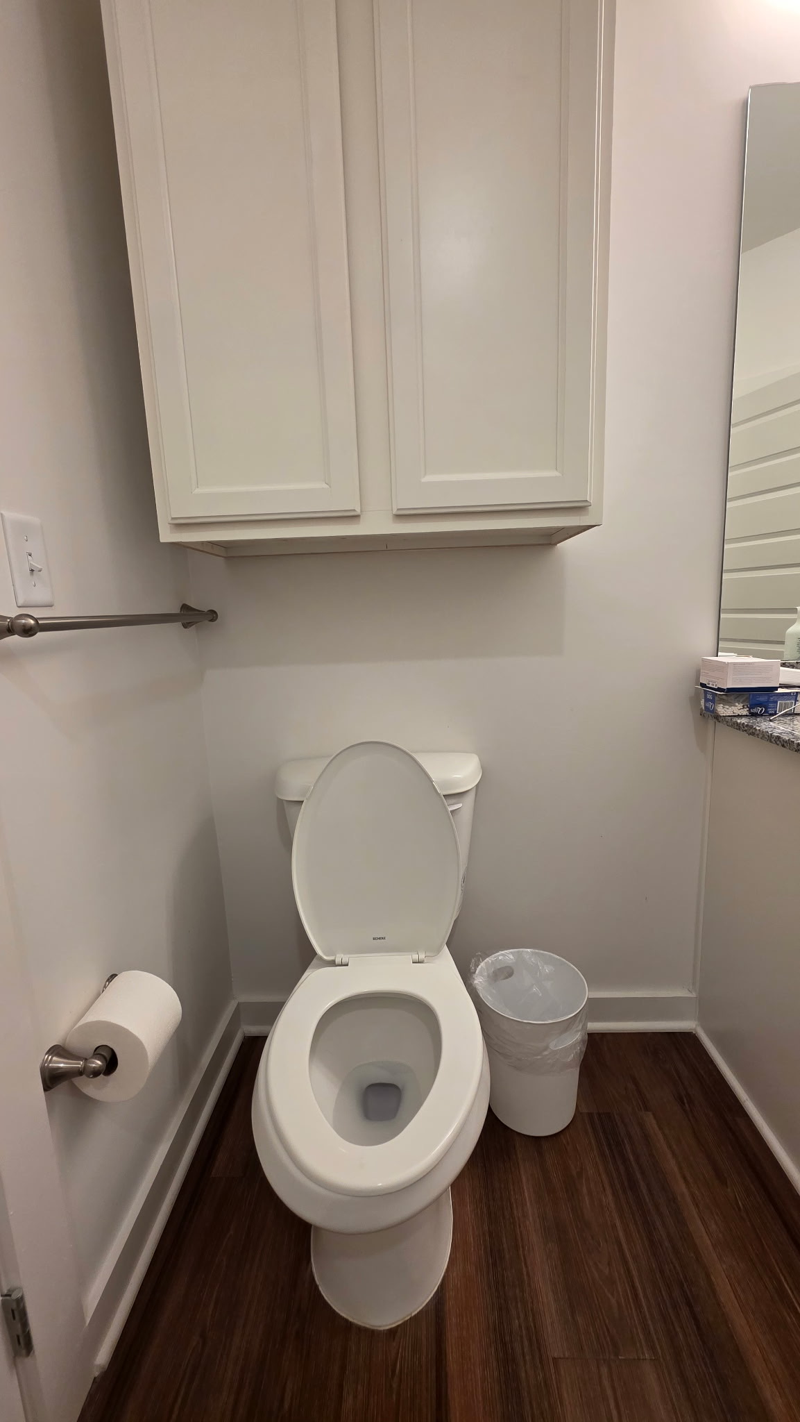 Toilet after cleaning - sanitized and fresh