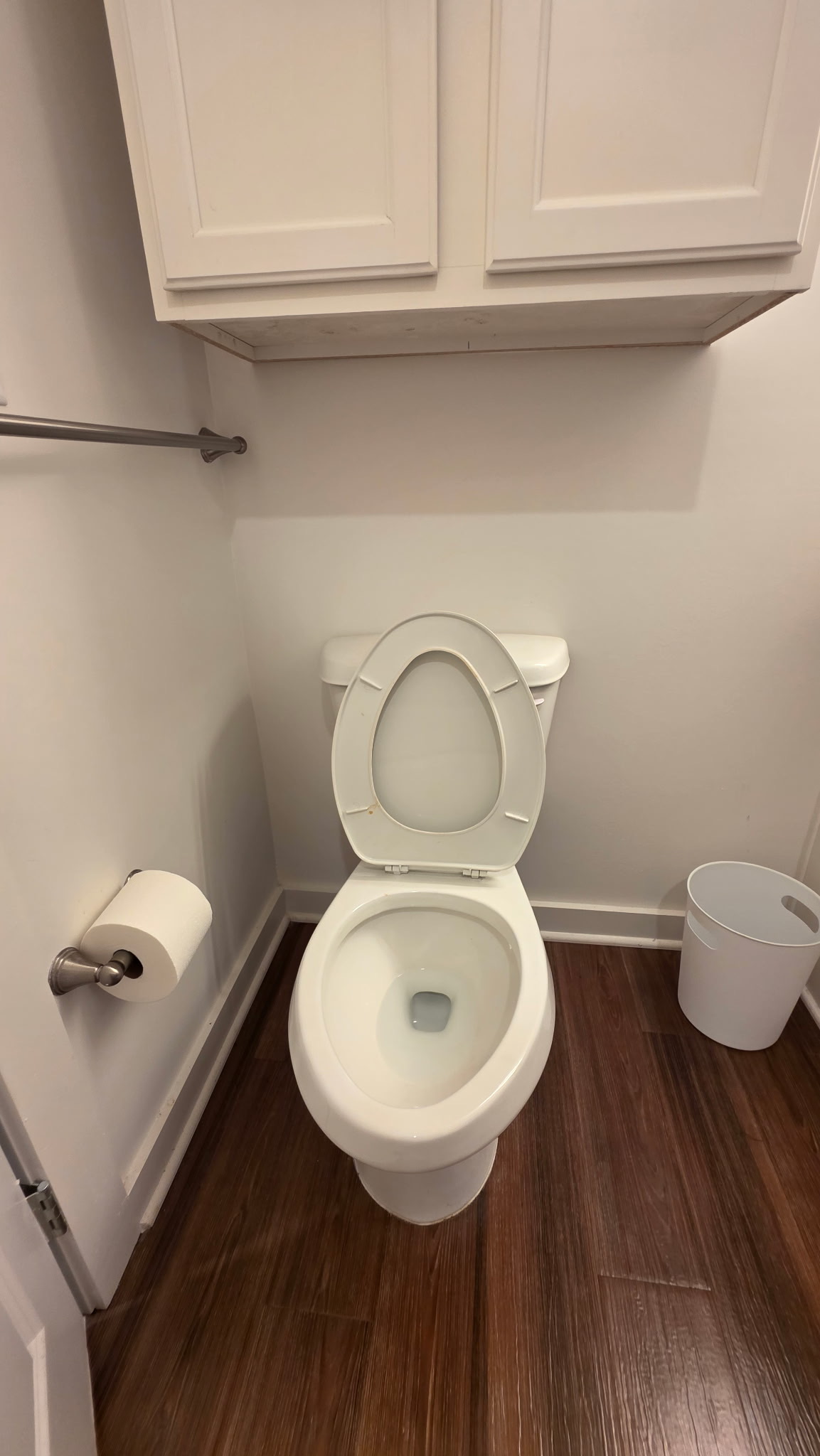 Toilet before cleaning